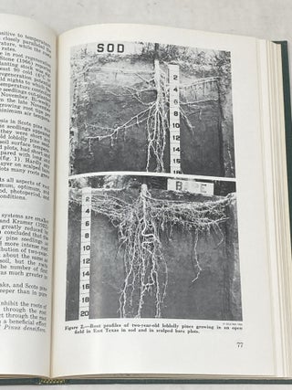 MYCORRHIZAE: PROCEEDINGS OF THE FIRST NORTH AMERICAN CONFERENCE ON MYCORRHIZAE; April 1969 - Misc. Publication 1189. U.S. Department of Agriculture - Forest Service