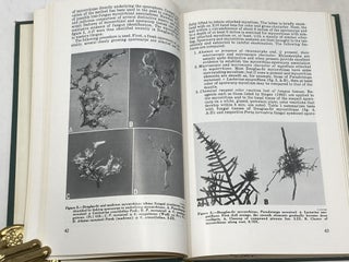 MYCORRHIZAE: PROCEEDINGS OF THE FIRST NORTH AMERICAN CONFERENCE ON MYCORRHIZAE; April 1969 - Misc. Publication 1189. U.S. Department of Agriculture - Forest Service