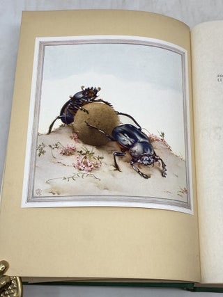 FABRE'S BOOK OF INSECTS RETOLD FROM ALEXANDER TEIXEIRA DE MATTO' TRANSLATION OF FABRE'S "SOUVENIRS ENTOMOLOGIQUES" BY MRS RUDOLPH STAWELL; Illustrated by E.J. Detmold