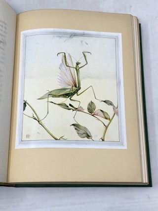FABRE'S BOOK OF INSECTS RETOLD FROM ALEXANDER TEIXEIRA DE MATTO' TRANSLATION OF FABRE'S "SOUVENIRS ENTOMOLOGIQUES" BY MRS RUDOLPH STAWELL; Illustrated by E.J. Detmold