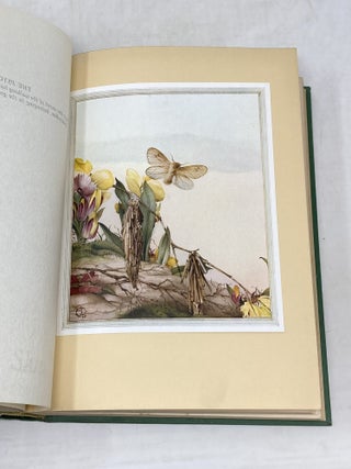 FABRE'S BOOK OF INSECTS RETOLD FROM ALEXANDER TEIXEIRA DE MATTO' TRANSLATION OF FABRE'S "SOUVENIRS ENTOMOLOGIQUES" BY MRS RUDOLPH STAWELL; Illustrated by E.J. Detmold