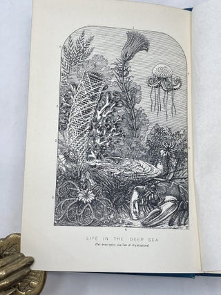 LIFE AND HER CHILDREN : GLIMPSES OF ANIMAL LIFE FROM THE AMOEBA TO THE INSECTS; With Upwards of 100 Illustrations