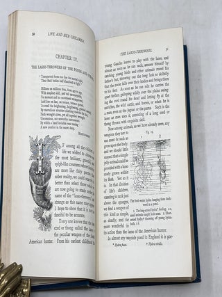 LIFE AND HER CHILDREN : GLIMPSES OF ANIMAL LIFE FROM THE AMOEBA TO THE INSECTS; With Upwards of 100 Illustrations
