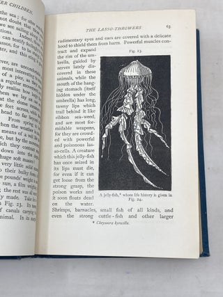 LIFE AND HER CHILDREN : GLIMPSES OF ANIMAL LIFE FROM THE AMOEBA TO THE INSECTS; With Upwards of 100 Illustrations