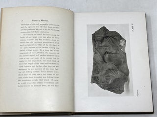 THE TWO ISLANDS AND WHAT CAME OF THEM