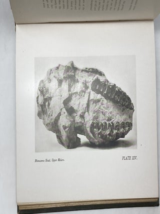 THE TWO ISLANDS AND WHAT CAME OF THEM
