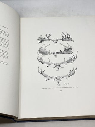 BRITISH DEER AND THEIR HORNS