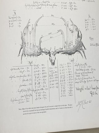BRITISH DEER AND THEIR HORNS
