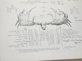 BRITISH DEER AND THEIR HORNS