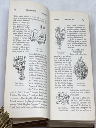 THE LICHEN BOOK ; HANDBOOK OF THE LICHENS OF NORTHEASTERN UNITED STATES