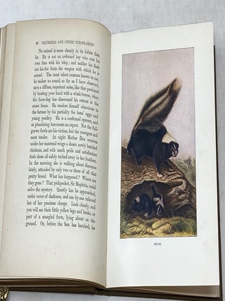 SQUIRRELS AND OTHER FUR-BEARERS; With Fifteen Illustrations in Colors after Audobon, and a Frontispiece from LIfe