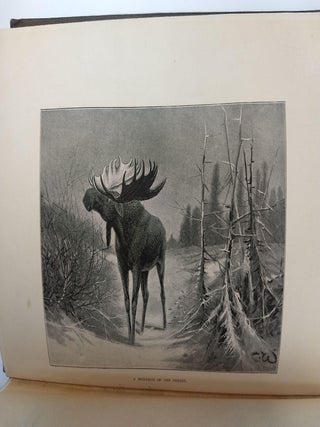 THROUGH THE SUBARCTIC FOREST : A RECORD OF A CANOE JOURNEY FROM FORT WRANGEL TO THE PELLY LAKES AND DOWN THE YUKON RIVER TO THE BEHRING SEA