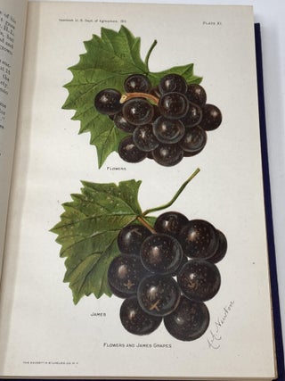 YEARBOOK OF THE UNITED STATES DEPARTMENT OF AGRICULTURE - 1913