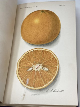 YEARBOOK OF THE UNITED STATES DEPARTMENT OF AGRICULTURE - 1913