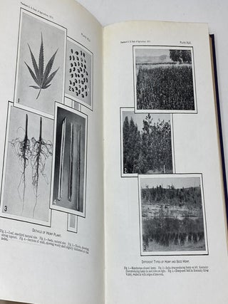 YEARBOOK OF THE UNITED STATES DEPARTMENT OF AGRICULTURE - 1913