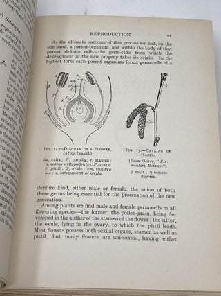 THE FIRST PRINCIPLES OF HEREDITY