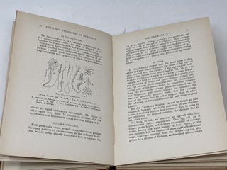 THE FIRST PRINCIPLES OF HEREDITY