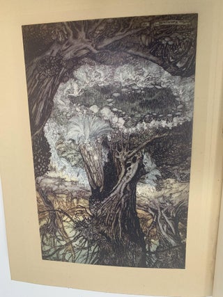 A MIDSUMMER NIGHT'S DREAM (ARTHUR RACKHAM)