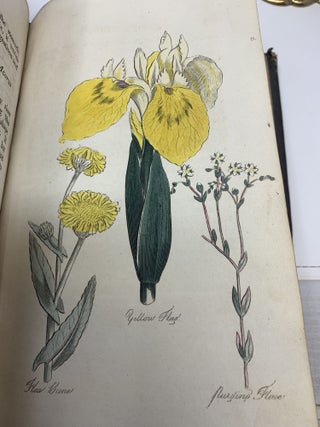 THE FAMILY HERBAL OR AN ACCOUNT OF ALL THOSE ENGLISH PLANTS, WHICH ARE REMARKABLE FOR THEIR VIRTUES, AND OF THE DRUGS WHICH ARE PRODUCED BY VEGETABLES OF OTHER COUNTRIES; WITH THEIR DESCRIPTIONS AND THEIR USES, AS PROVED BY EXPERIENCE; Also Directions for the gathering and preserving roots, herbs, flowers, and seeds; the various methods of preserving these simples for present use; receipts for making distilled waters, conserves, syrups, electuaries, juleps, draughts, &c. &c. with necessary cautions in giving them: INTENDED FOR THE USE OF FAMILIES.