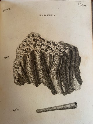 BRITISH ZOOLOGY. VOL. IV. CRUSTACEA MOLLUSA TESTACEA