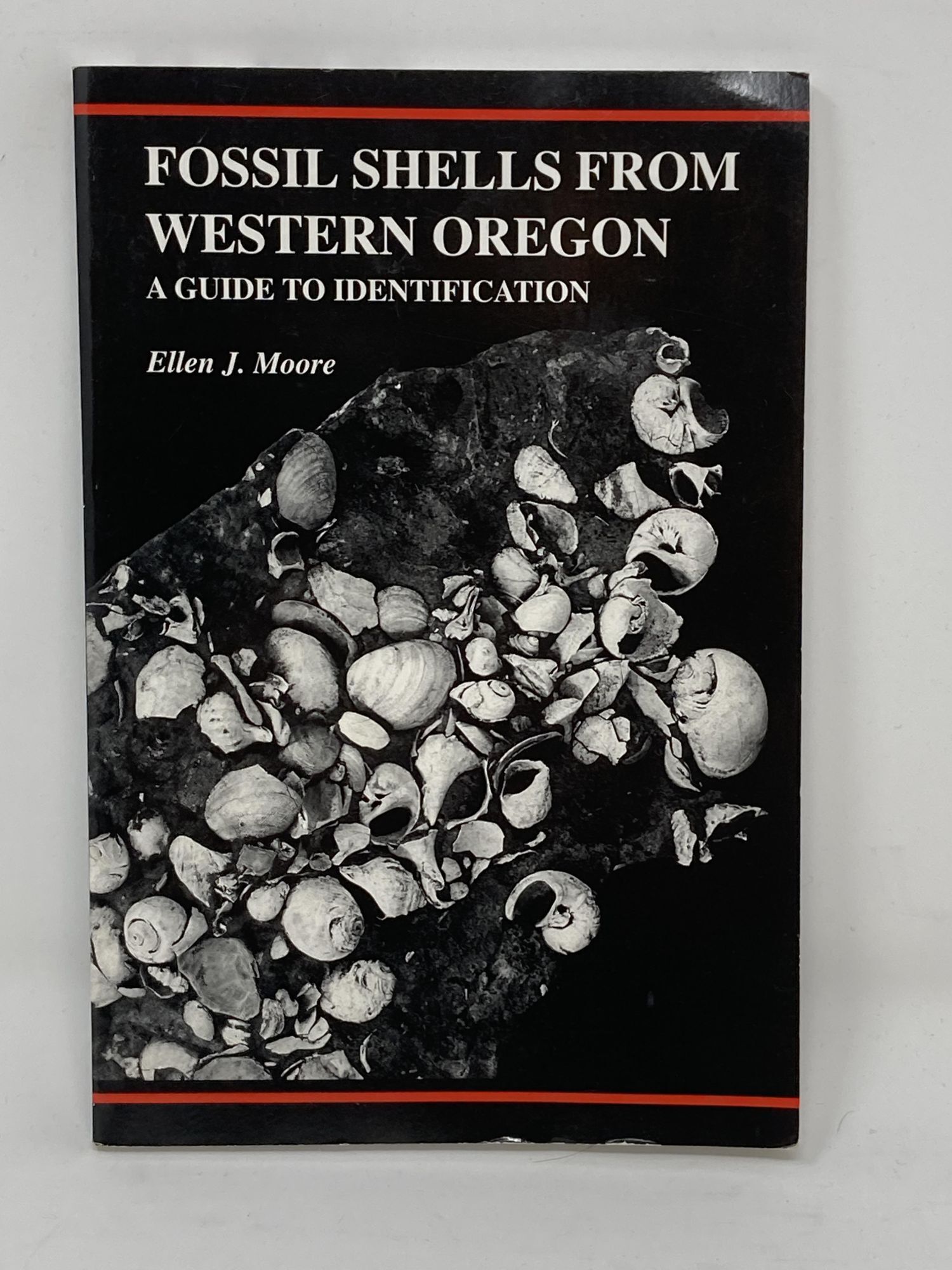 FOSSIL SHELLS FROM WESTERN OREGON. A GUIDE TO IDENTIFICATION | Ellen J ...
