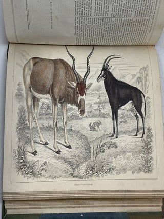 A HISTORY OF THE EARTH AND ANIMATED NATURE (SIX PARTS IN TWO VOLUMES); Wth an Introductory View of the Animal Kingdom, Translated from the French of Baron Cuvier, and Copious Notes Embracing Accounts of New Discoveries in Natural History; A Life of the Author, By Washington Irving; and Carefully Prepared Index to the Whole Work.