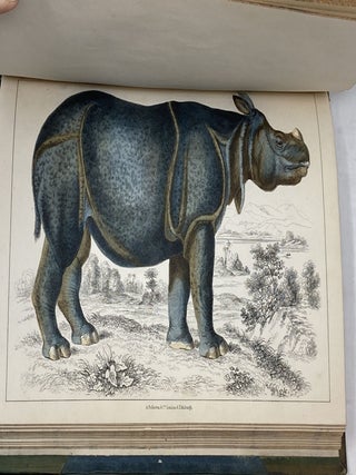 A HISTORY OF THE EARTH AND ANIMATED NATURE (SIX PARTS IN TWO VOLUMES); Wth an Introductory View of the Animal Kingdom, Translated from the French of Baron Cuvier, and Copious Notes Embracing Accounts of New Discoveries in Natural History; A Life of the Author, By Washington Irving; and Carefully Prepared Index to the Whole Work.