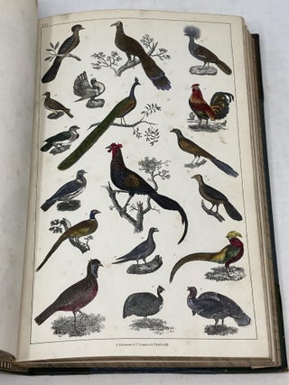 A HISTORY OF THE EARTH AND ANIMATED NATURE (SIX PARTS IN TWO VOLUMES); Wth an Introductory View of the Animal Kingdom, Translated from the French of Baron Cuvier, and Copious Notes Embracing Accounts of New Discoveries in Natural History; A Life of the Author, By Washington Irving; and Carefully Prepared Index to the Whole Work.