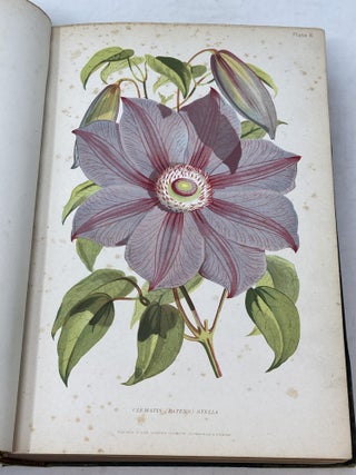 THE GARDENER'S ASSISTANT; PRACTICAL AND SCIENTIFIC. A GUIDE TO THE FORMATION AND MANAGEMENT OF THE KITCHEN, FRUIT, AND FLOWER GARDENS, AND THE CULTIVATION OF CONSERVATORY GREENHOUSE, AND STOVE PLANTS; WITH A COPIOUS CALENDAR OF GARDENING OPERATIONS, AND SELECT LISTS OF PLANTS, FRUITS, AND VEGETABLES.