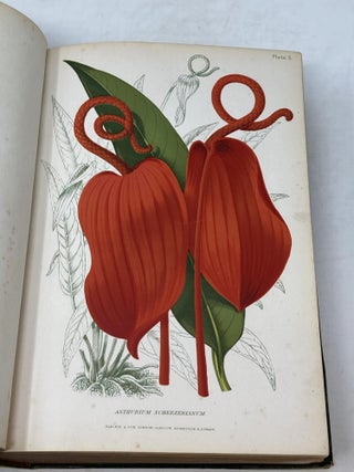 THE GARDENER'S ASSISTANT; PRACTICAL AND SCIENTIFIC. A GUIDE TO THE FORMATION AND MANAGEMENT OF THE KITCHEN, FRUIT, AND FLOWER GARDENS, AND THE CULTIVATION OF CONSERVATORY GREENHOUSE, AND STOVE PLANTS; WITH A COPIOUS CALENDAR OF GARDENING OPERATIONS, AND SELECT LISTS OF PLANTS, FRUITS, AND VEGETABLES.