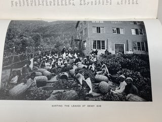 GOLDEN TIPS: A DESCRIPTION OF CEYLON AND ITS GREAT TEA INDUSTRY