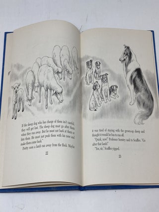 SCUFFLES (SIGNED)