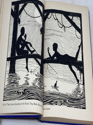 STOWAWAYS IN PARADISE : TWO BOY ADVENTURERS IN HAWAII; Illustrated by the author