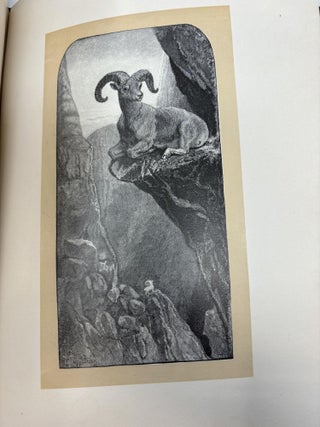 HUNTING TRIPS OF A RANCHMAN: SKETCHES OF SPORT ON THE NORTHERN CATTLE PLAINS; (Medora Edition, #248 of only 500 copies printed)