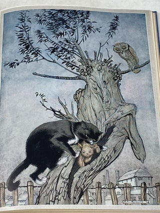 POOR CECCO : THE WONDERFUL STORY OF A WONDERFUL WOODEN DOG WHO WAS THE JOLLIEST TOY IN THE HOUSE UNTIL HE WENT OUT TO EXPLORE THE WORLD; Illustrated by Arthur Rackham