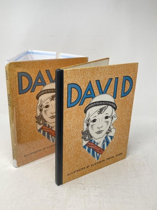 DAVID : A BIBLE STORY WITH PICTURES