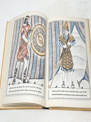 DAVID : A BIBLE STORY WITH PICTURES