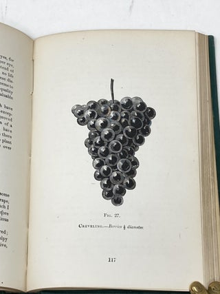 THE CULTIVATION OF THE NATIVE GRAPE, AND MANUFACTURE OF AMERICAN WINES