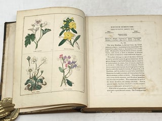 THE BOOK OF HARDY FLOWERS OR THE GARDENERS' EDITION OF THE BOTANIC GARDEN (VOLUME 5/6)