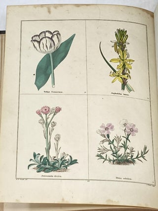 THE BOOK OF HARDY FLOWERS OR THE GARDENERS' EDITION OF THE BOTANIC GARDEN (VOLUME 5/6)