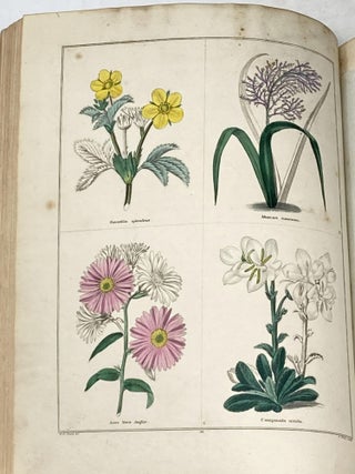 THE BOOK OF HARDY FLOWERS OR THE GARDENERS' EDITION OF THE BOTANIC GARDEN (VOLUME 5/6)