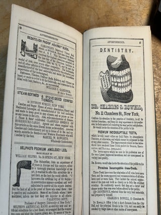 WILSON'S ILLUSTRATED GUIDE TO THE HUDSON RIVER