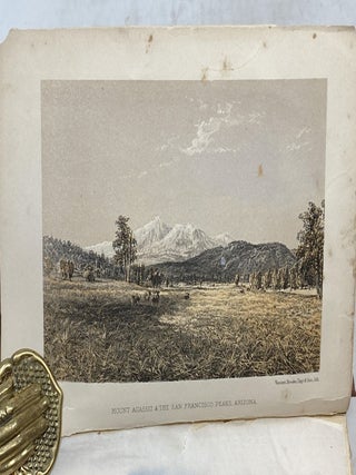 NEW TRACKS IN NORTH AMERICA : A JOURNAL OF TRAVEL AND ADVENTURE WHILST ENGAGED IN THE SURVEY FOR THE SOUTHERN RAILROAD TO THE PACIFIC OCEAN DURING 1867-8 (TWO VOLUMES)