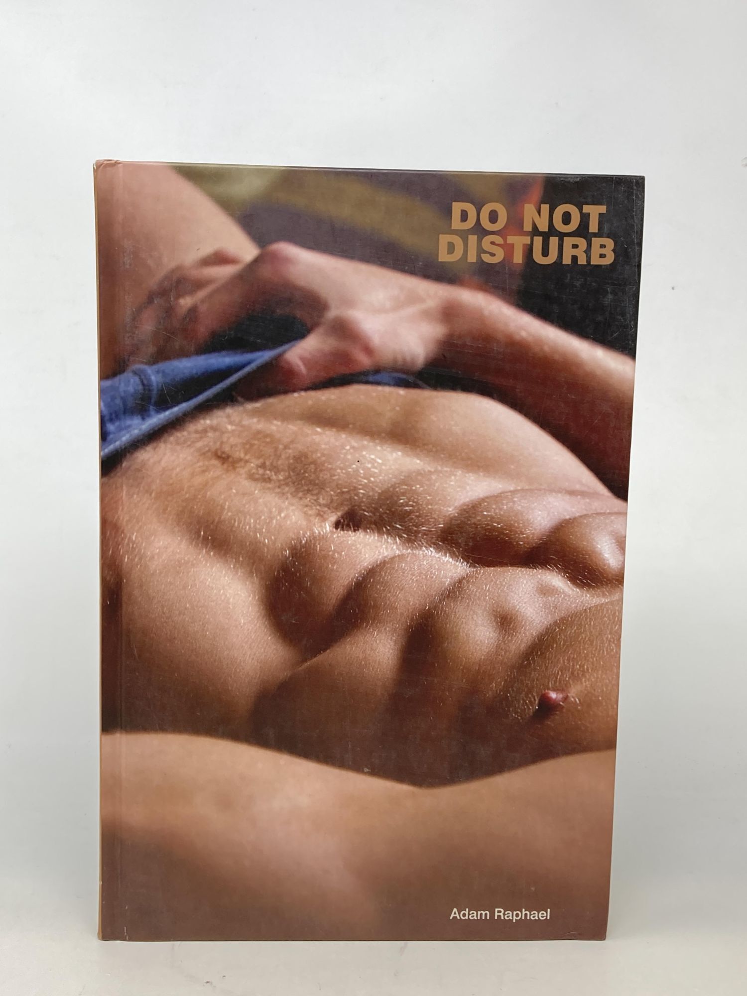DO NOT DISTURB | Adam Raphael | First Edition