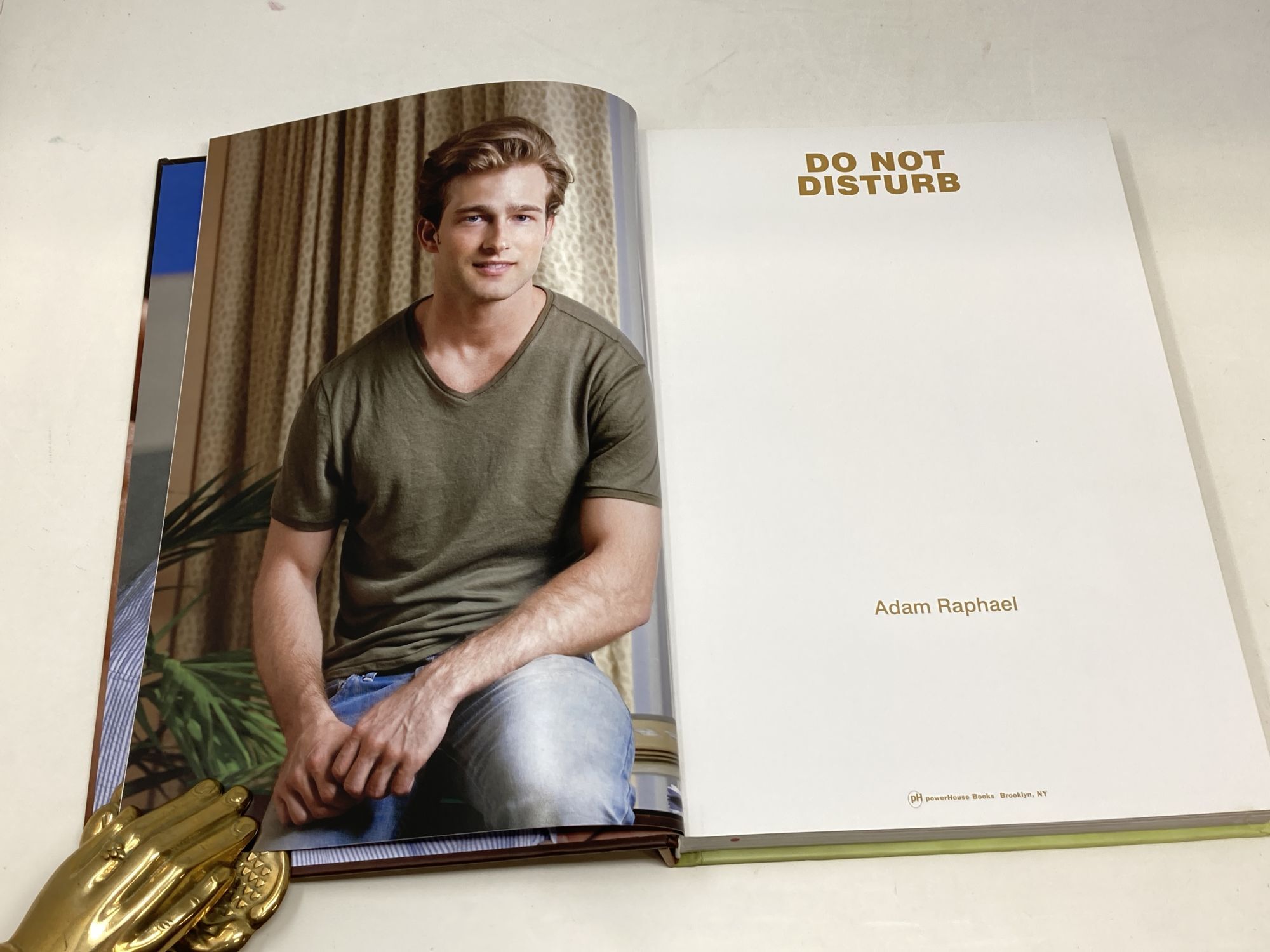 DO NOT DISTURB | Adam Raphael | First Edition