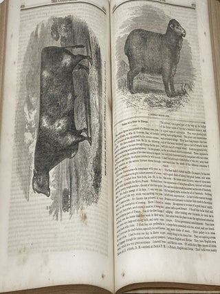 THE CULTIVATOR, VOLUME VIII [1851], NUMBERS 1-12 [JANUARY - DECEMBER]; A Monthly Journal Devoted to Agriculture, Horticulture, Floriculture and to Domestic and Rural Economy. Illustrated with Engrvings of Farm Houses and FArm Buildings, Impproved Breeds of Cattle, Horses, Sheep, Swine and Poultry, Farm Implements, Domestic Utensils, &c.