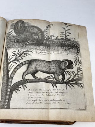 A NEW HISTORY OF ETHIOPIA: BEING A FULL AND ACCURATE DESCRIPTION OF THE KINGDOM OF ABESSINIA, VULGARLY, THOUGH ERRONEOUSLY CALLED THE KINGDOM OF PRESTER JOHN: IN FOUR BOOKS
