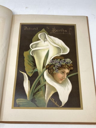VIOLET AMONG THE LILIES