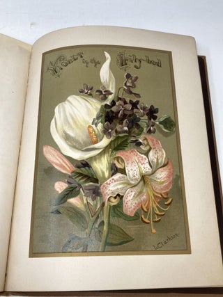 VIOLET AMONG THE LILIES