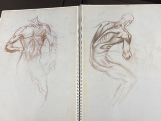 THE JACKSON POLLOCK LIMITED EDITION SKETCHBOOKS IN THE METROPOLITAN MUSEUM OF ART